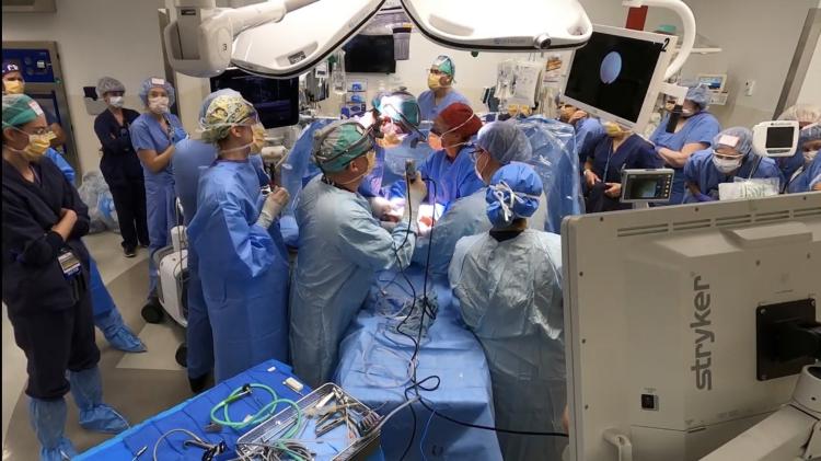 Clinical Experience | Department of Obstetrics & Gynecology