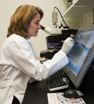 Dr. Kristina Adams Waldorf researching Zika Virus and birth defects