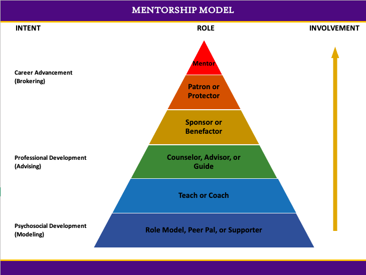 Mentorship pyramid showing different areas