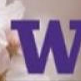 Cherry blosoms with a W