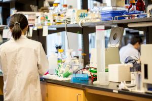 A scientist works in a lab