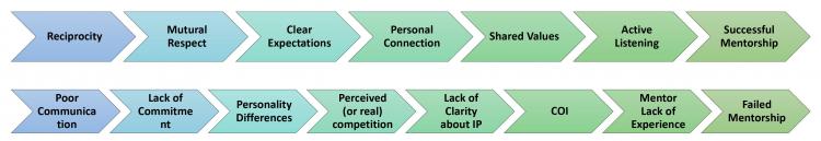 A flow chart showing the mentorship relationship